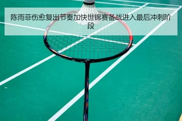 陈雨菲伤愈复出节奏加快世锦赛备战进入最后冲刺阶段（BoyuSports）